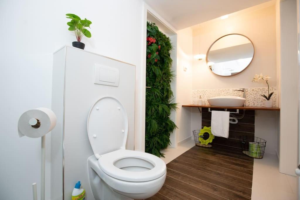 E-House Apartment Brasov Noua Dış mekan fotoğraf